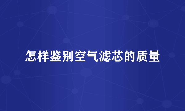 怎样鉴别空气滤芯的质量