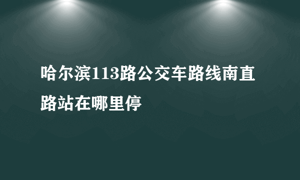 哈尔滨113路公交车路线南直路站在哪里停