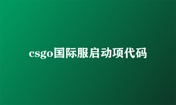 csgo国际服启动项代码