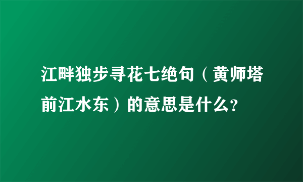 江畔独步寻花七绝句（黄师塔前江水东）的意思是什么？