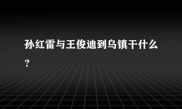 孙红雷与王俊迪到乌镇干什么？